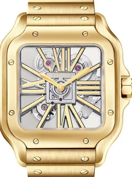 Cartier Santos De Cartier Large skeleton WHSA0042