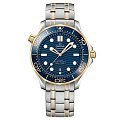 Seamaster Diver 300